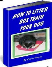 litter box train dog